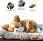 Ergocar Car Air Purifying Bags Cute Animals Odor Eliminator Bamboo Charcoal for Car Decoration & Eliminating Odors (Chihuahua-A)