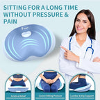 FLORICH Seat Cushion Lumbar Support Pillow for Office Chair, Car Lower Back Support, Ergonomic Desk Chair Pillow for Butt and Back Support of Memory Foam Seat Pad(Blue)