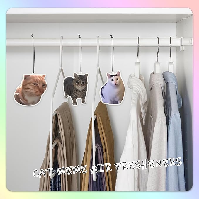 6Pcs Funny Car Air Freshener for Women Girls Men Cute Freshener Ornaments Cat Meme Funny Car Hanging Accessories