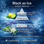 4 Pack Air fresheners | Long lasting car air fresheners, Hand-made in USA | Small room diffuser | Small Business Woman Owned. (8 ml Black Ice (Type) set of 4)