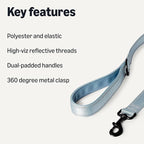 Amazon Basics Reflective Dog Leash with Dual-Padded Handles and D Ring, 4ft