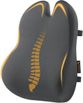 ProtoArc Lumbar Support Pillow for Office Chair, Memory Foam Back Support Pillow for Lower Back Fatigue Relief, Lumbar Pillow Desk Chair Back Cushion, Ergonomic Back Rest for Chair - Dark Gray