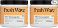 Fresh Wave Orange Odor Removing Gel, 15 oz., Pack of 2 | Odor Absorbers for Home | Safer Odor Relief | Natural Plant-Based Odor Eliminator | Every 15 oz. lasts 30-60 Days | For Cooking, Trash & Pets