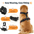 Pawaboo Dog Seat Belt Harness for Car, Dog Car Harness Seatbelt with Double Clips, Adjustable Breathable Pet Vest & Dogs Safety Tether with Elastic Bungee for Small Medium Large Pet, M, Orange/Black