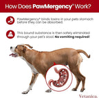 PawMergency – Activated Charcoal First Aid Kit Emergency Rescue 4 Pack for Dogs, Cats, Puppy & Pet Poison Kit, Camping Survival Remedy Essential, Oral Anti Diarrhea Digestive Absorb Toxins (4 pack)