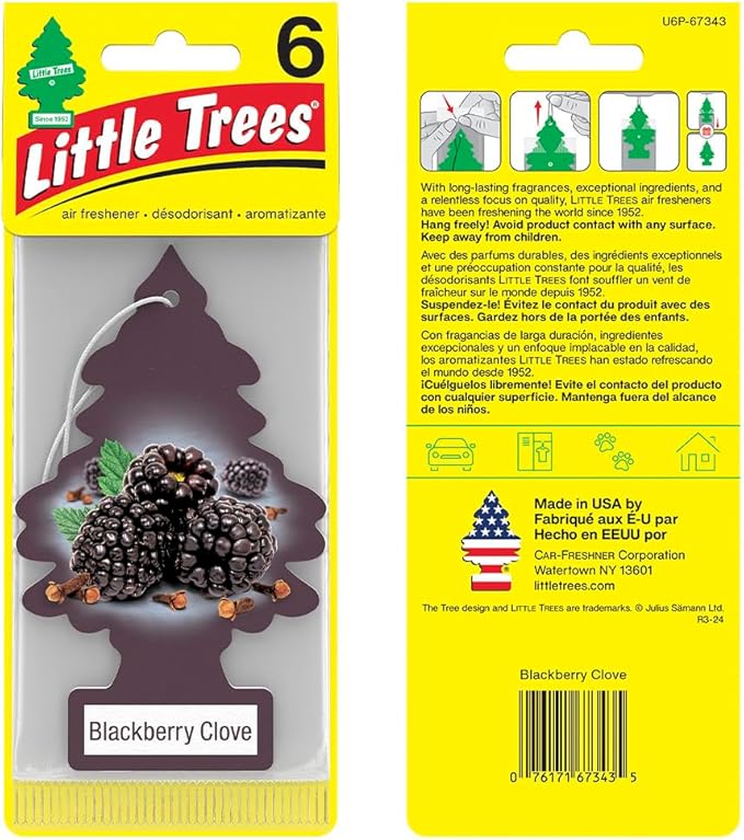LITTLE TREES Car Air Freshener. Hanging Tree Provides Long Lasting Scent for Auto or Home. Blackberry Clove, 24 Air Fresheners (Pack of 6)