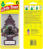 LITTLE TREES Car Air Freshener. Hanging Tree Provides Long Lasting Scent for Auto or Home. Blackberry Clove, 24 Air Fresheners (Pack of 6)