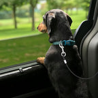 Mogoko Chew Proof Dog Car Seatbelt Safety Restraint Pet No-Chew Tether Cable Stainless Steel Dog Leash Puppy Vehicle Seat Belt Strap with Double Clip and Latch Attachment (16 inch) Black