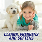 Resolve Carpet High Traffic Foam, 22-Ounce (Pack of 12)