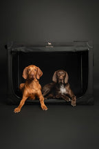Noah & Paw Collapsible Dog Crate 42 Inch, XXL Dog Crate for XXL, XL, Large Breeds, Travel Kennel for Car, Includes Pet Mat for Pet Cage, 2 Storage Pockets, Handbag, 10mm Locking Zippers 42 * 31 * 31