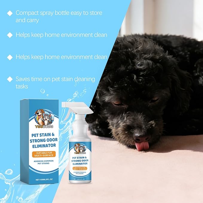 Pet Stain & Strong Odor Eliminator, Dog & Cat Pee Urine Destroyer for Carpet, Upholstery - Cleaner Spray for Pet Stain Remover, Urine, Poop, Pee, Deodorizer, Air Freshener in Home & Car - 5oz