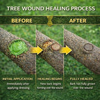 Tree Wound Sealer, Tree Pruning Sealer & Wound Dressing Healing Paste for Grafting, Pruning & Damaged Bark, Waterproof Tree Repair Sealant for Bonsai, Fruit Trees, Roses, Shrubs – 8oz