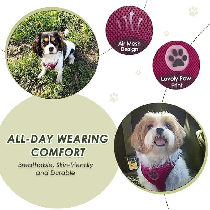 Lukovee Dog Seat Belt for Car, Adjustable Dog Car Harness for Large Medium Small Dogs, Soft Padded & Breathable Mesh Dog Seatbelt with Car Strap and Carabiner (Rose,S)