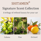 Car Air Freshener, Wood Air Freshener, Car Odor Eliminator for Visor Clip, 3-Pack Variety Scent Refill, Long Lasting - CLIP INCLUDED (Cabana-Pine-Orchard)