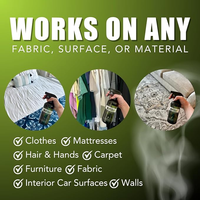 Chronic Wipeout Smoke Smell Eliminator for Home, Cars, Hands, Hair, Clothes, & More | Smoke Odor Eliminating Spray for All Kinds of Strong Smoke | Gifts for Smokers - Apple 2 Pack (16 oz)