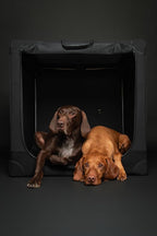 Noah & Paw Collapsible Dog Crate 30 Inches, Large Dog Crate for Large Medium Breeds, Travel Kennel for Car, Including Pet Mat for Pet Cage, 2 Storage Pockets, Handbag, 10mm Locking Zipper 30*21*21