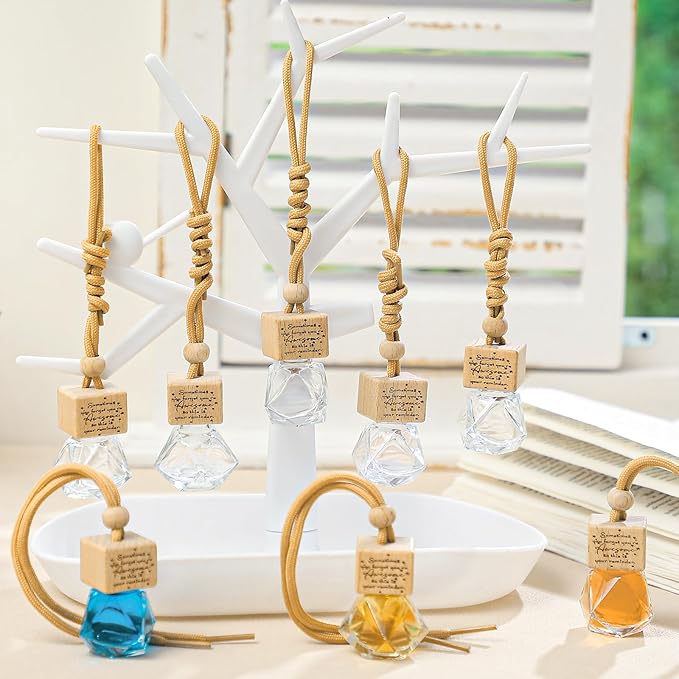 20 Pcs Car Diffuser Bottle Empty Bulk Hanging Car Freshener Bottles Inspirational Air Freshener Refillable Thank You Employee Appreciation Gifts Bulk for Nurse Staff(Sometimes)