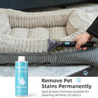 Carpet Cleaner Machine 11Kpa Strong Suction, New 450W Powerful Motor, Portable Upholstery Cleaner with Spot Cleaner, Stain Remover for Pet Accident, Rugs, Carpet and Upholstery Blue