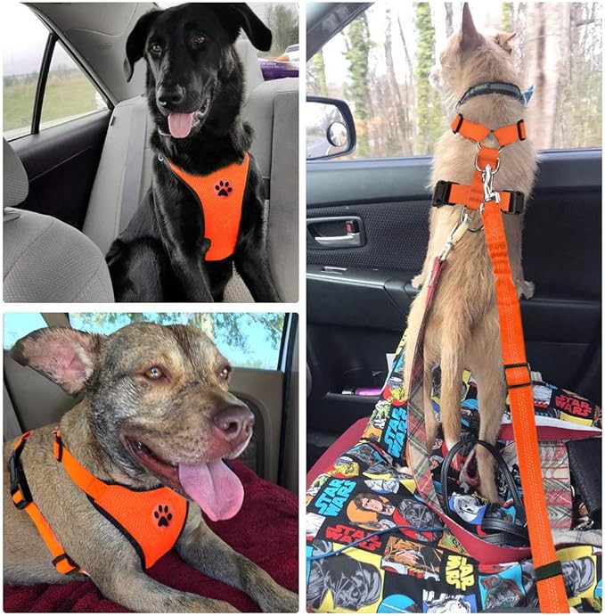 Lukovee Dog Seat Belt for Car, Adjustable Dog Car Harness for Large Medium Small Dogs, Soft Padded & Breathable Mesh Dog Seatbelt with Car Strap and Carabiner (Orange,S)
