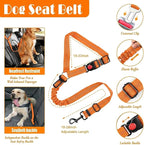 No Pull Dog Harness, Collar & Leash Set | Includes Dog Seat Belt, Collapsible Bowls & Poop Bag Dispenser. Ideal for Training, Walking, Hiking. Fits Small to Large Dogs(Orange-M)