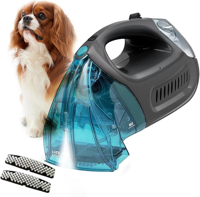 Hausmeister Hydroflex Portable Carpet Cleaner Machine, Upholstery Cleaner Machine for Couch, Car Seats & Pet Stains, 500W Powerful Handheld Deep Cleaner with 3 Brush Heads