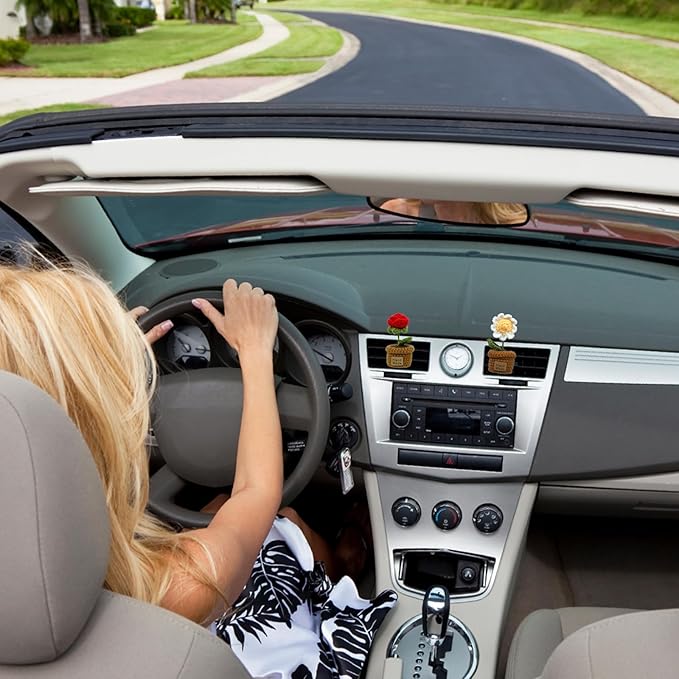 Wonhibo 2 Pack Car Air Freshener Vent Clip, Cute Soft Stuffed Vent Decor Car Accessories for Women (M, Rose/Daisy)