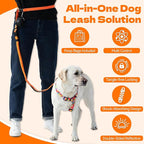 6-in-1 Hands-Free Dog Leash, Waist & Crossbody Bungee Lead with Dual Padded Handles, Bungee Shock Absorbing, Seat Belt Buckle, Reflective for Small Medium Large Dogs, Orange