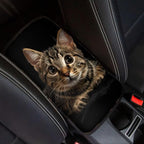 Dreaweet Car Armrest Cover Pad Soft Center Console Cover Black Cat Car Accessories for Women Interior Cute,Universal Armrest Cover for Car Truck SUV Sedan