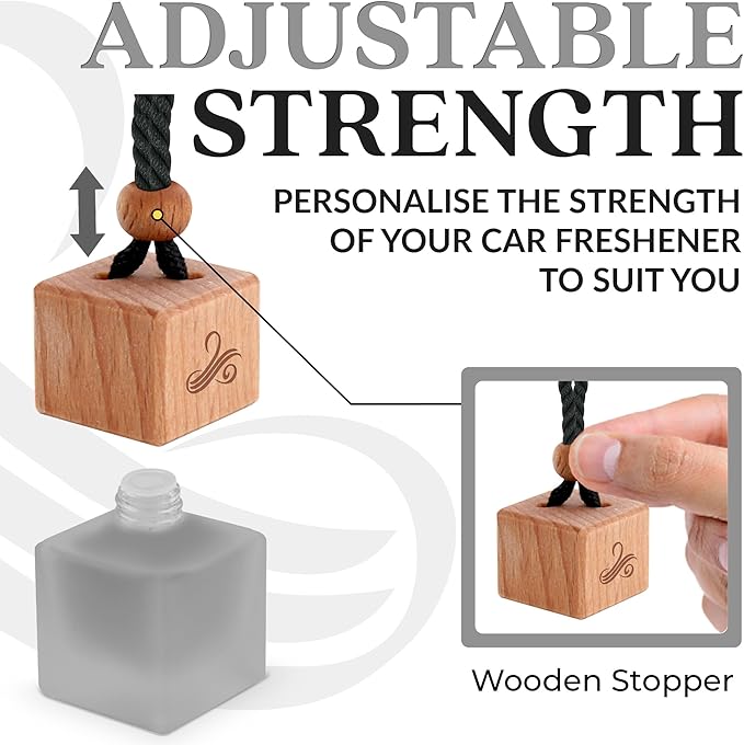 Invincible Gift Set Car Air Freshener for Men | Car Air Freshener Vent Clip 38ml Gift Set | Odor Eliminator Car Perfume Diffuser by Perfa