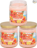 Smoke Odor Exterminator 13oz Jar Candle, Maui Wowie Mango, 13 oz (3)