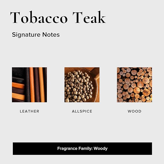 Geotanical Car Air Fresheners, Variety Pack of 6 (3 Black Coral Tide, 3 Tobacco Teak)
