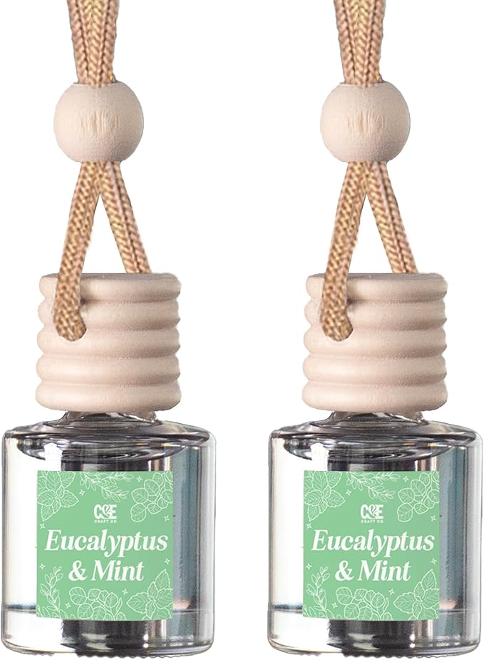 C&E Craft Co Hanging Car Air Freshener Diffuser 2 Pack, Long Lasting Fragrance Oil Car Freshener, Glass Bottle Auto Air Freshener, Made in USA (Eucalyptus & Mint)