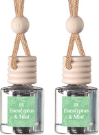 C&E Craft Co Hanging Car Air Freshener Diffuser 2 Pack, Long Lasting Fragrance Oil Car Freshener, Glass Bottle Auto Air Freshener, Made in USA (Eucalyptus & Mint)