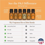 P&J Trading Fragrance Oils for Diffusers for Home Spice Set Fragrance Scents for Candle Making - Soap Making Supplies - Car Diffuser Scents - Essential Home Gift Set - Apple Cider, Cinnamon & More