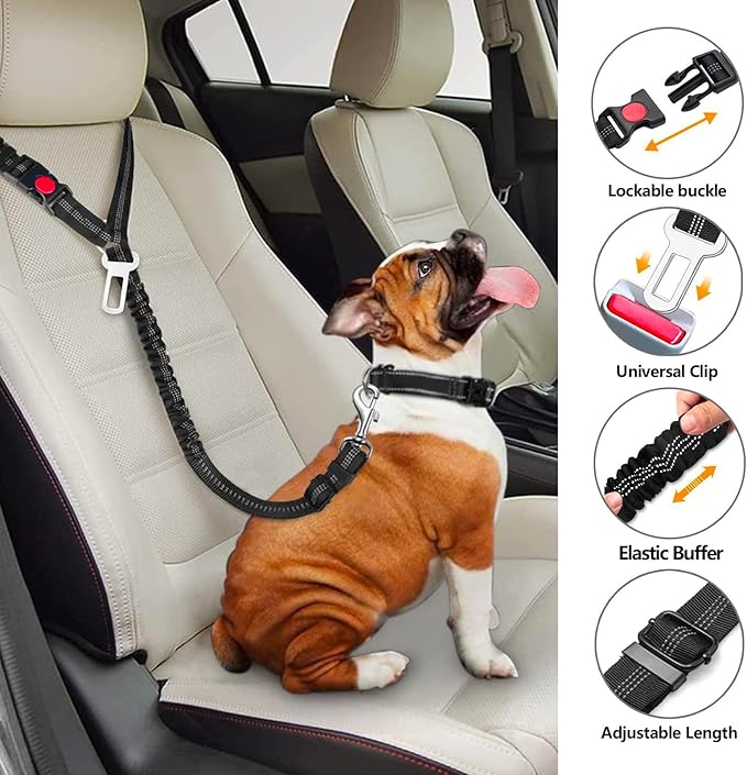 Removable Dog Seat Belt Harness for Car, 3 in 1 Pet Car Seatbelt Leash, Retractable Restraint Secures to Vehicle Headrest & Adjustable Reflective Dog Seatbelt Tether (Purple&Black, 2pcs)