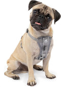 Kurgo Tru-Fit Smart Dog Walking Harness - Comfortable Fit - Adjustable Harness - Reflective Pet Wear - Quick Strap Release - Daily Walk Accessory - Includes Seat Belt Loop - Grey - X-Small