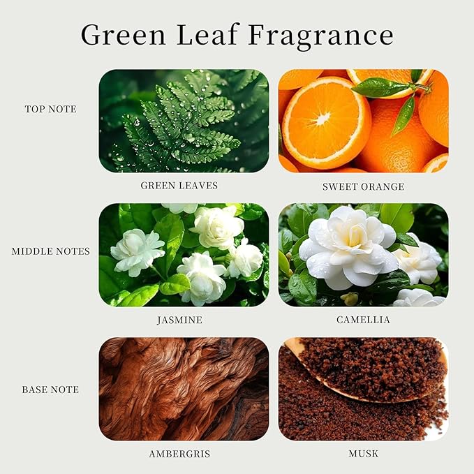 Labbyway Car Air Freshener with Refills-Vent Clip Starter Kit-Scent Diffuser for Car-Includes Fruit/Plants Scented Refills-Earthy Red-Brown