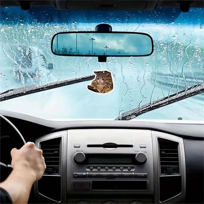 Rawan 4 Pack Car Air Freshener Cat, Accessories Cute for Women Girls And men Car, Funny Decor Hanging Fresheners Car Interior Room Decorations, for Christmas Gift (B, 2 Scent)