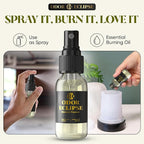 Car Air Freshener | 100% Oil-Based Concentrated & Long Lasting Car Air Scent for Men & Women - Automotive Air Freshener & Odor Eliminator for Home, Bathroom, & Office (Mango Tango)
