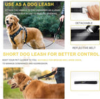Dog Seat Belt Harness for Car, 5-in-1 Coated Wire Dog Seatbelt, HYLIYAKI Shock Spring-Loaded No Chew Pet Dog Car Seatbelt Leash, with Removable Reflective Short Leash(Black, 16 inch/40 CM)