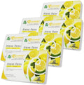 Auto Dynasty TreeFrog Xtreme Fresh Under-The-Car Natural Air Freshener, Lemon Scented, Pack of 6