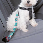 Cute Design 2-Pack Set Adjustable Pet Cat Dog Car Seat Belt, Adjustable Buckle Pet Car Harness Fabric Lanyard from 22 to 38 Inches Seatbelt Leash (Blue Fairy Tale Dog -Two Piece in one Set)