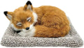 Sleeping Fox Bamboo Charcoal Bag - Realistic Plush Animal Odor Eliminator and Moisture Absorber for Car, Home, Closet - Soft Decorative Fox Figurine