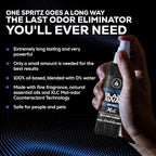 Blaze Away Commercial Air Freshener & Odor Eliminator for Strong Odor - Industrial-Grade Room Spray & Room Deodorizer for Home, Car, Smoke & Pet Odors - Long-Lasting Odor Absorber, Room Fresheners