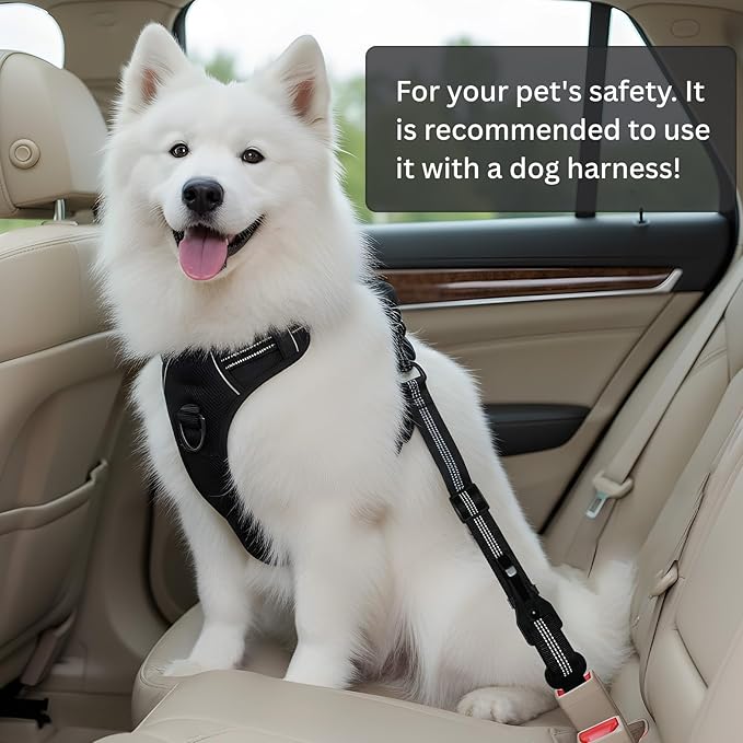 Dog Seat Belt for Car Seatbelt Clip or Hook Latch, Adjustable Reflective Bungee Dog Leash with Locking Zinc Alloy Carabiner, Elastic Buffer, Fits Most Cars/SUVs/Trucks (Black)