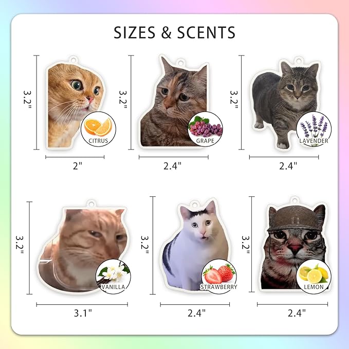 6Pcs Funny Car Air Freshener for Women Girls Men Cute Freshener Ornaments Cat Meme Funny Car Hanging Accessories