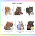 6Pcs Funny Car Air Freshener for Women Girls Men Cute Freshener Ornaments Cat Meme Funny Car Hanging Accessories