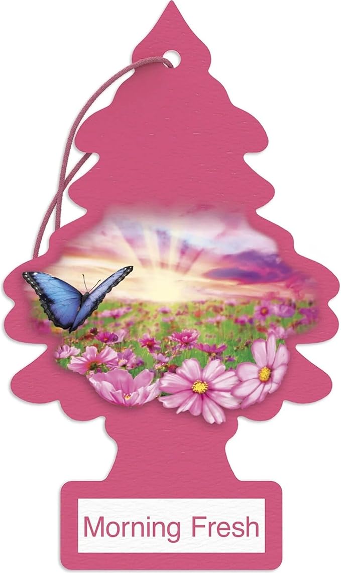 LITTLE TREES Car Air Freshener | Hanging Paper Tree for Home or Car | Morning Fresh