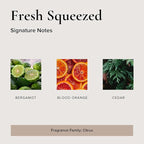 Fresh Squeezed Car Air Freshener - 4 Pack