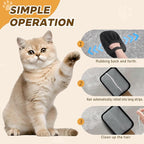 Pet Hair Remover, Electrostatic Pet Hair Removal Gloves, Reusable Cat & Dog Hair Removal Tool, 2025 Upgraded Pet Grooming Gloves for Couch, Furniture, Carpet (2 Pack)